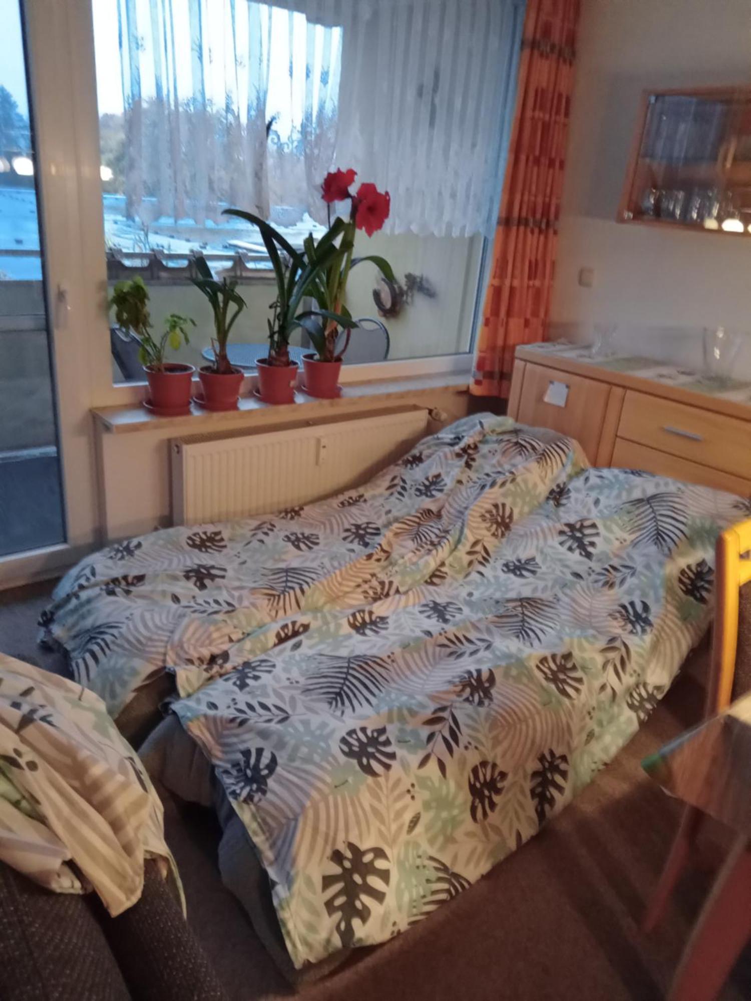 Wohnung 416, Am Kurpark 3, 38700 Braunlage Εξωτερικό φωτογραφία