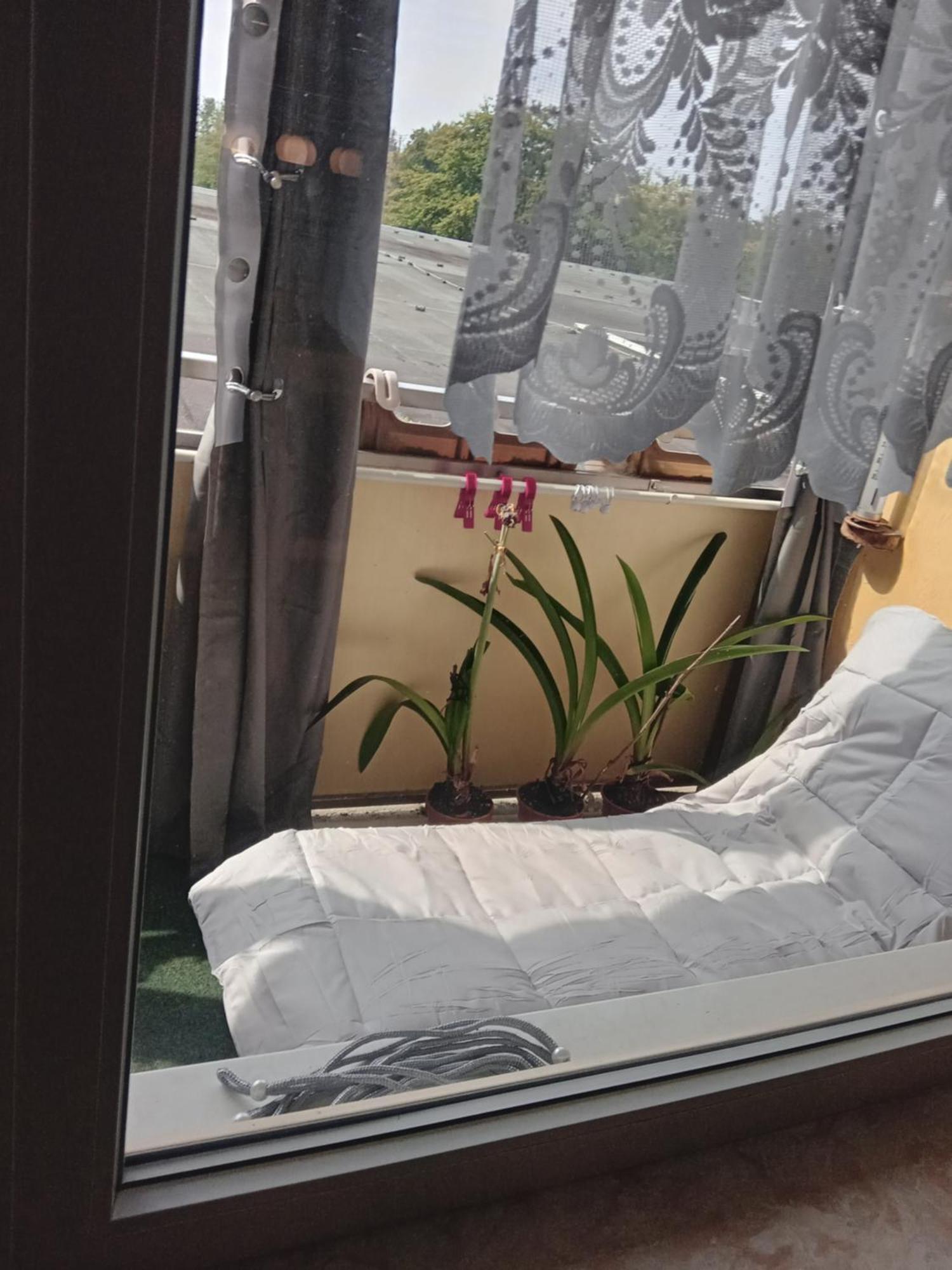 Wohnung 416, Am Kurpark 3, 38700 Braunlage Εξωτερικό φωτογραφία